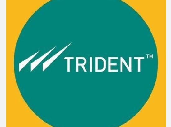 Trident Limited announces financial results for the first quarter of FY 25-26