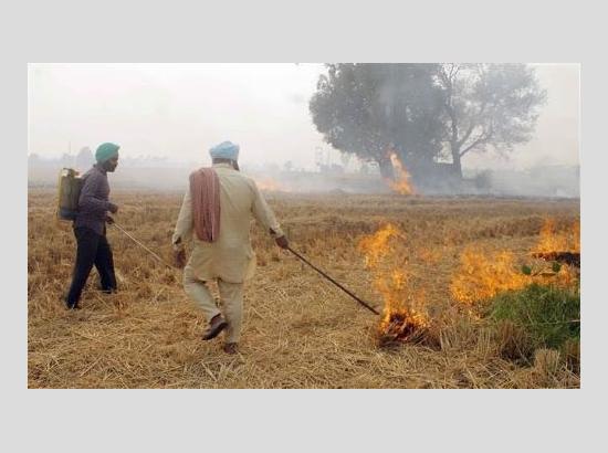 NGT Judicial Member: Punjab Paddy Stubble Burning Unlikely to Cause Delhi Pollution