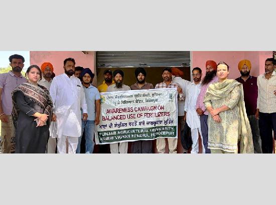 Avoid Phosphorus fertiliser in paddy if already applied to wheat; KVK advises farmers