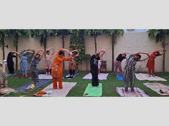 705 CM Yoga classes, 84 trainers and 20k daily participants driving Healthy Punjab Mission in Ferozepur